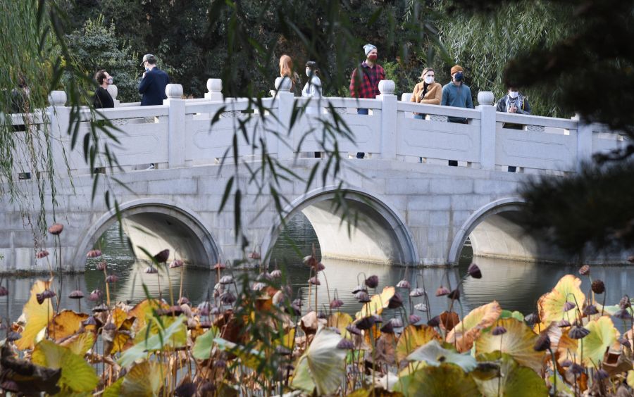 People wearing face covering to prevent the spread of COVID-19 visit the Chinese Garden at The Huntington Library, Art Museum and Botanical Gardens in San Marino on Nov. 7, 2020.(ROBYN BECK/AFP via Getty Images)