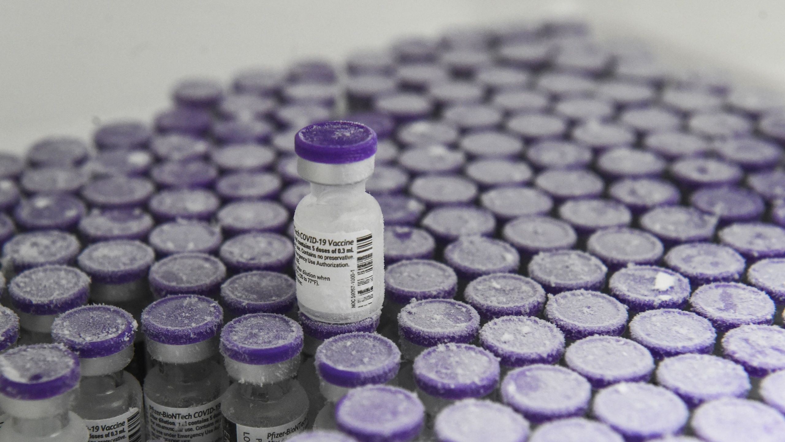 This Jan. 15, 2021, file photo shows vials of Pfizer-BioNTech vaccine in France. (JEAN-FRANCOIS MONIER/AFP via Getty Images)