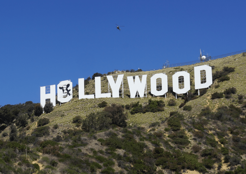 Three men were arrested after the image of a cow was hung over one of the letters of the Hollywood sign.(Steve Alper)