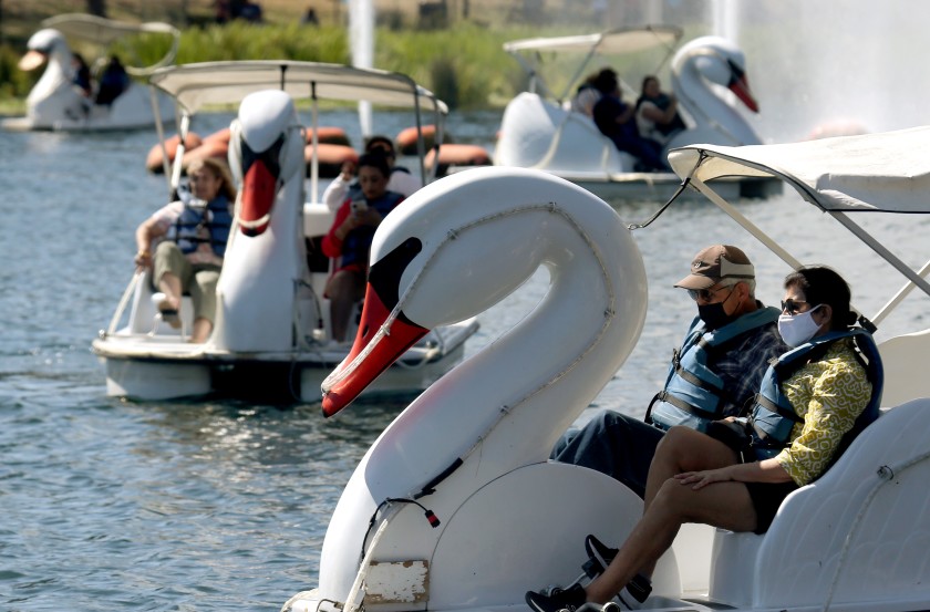 Debra and Manuel Mora ride in swan boats as Echo Park Lake reopens to the public on May 26, 2021. (Luis Sinco / Los Angeles Times)