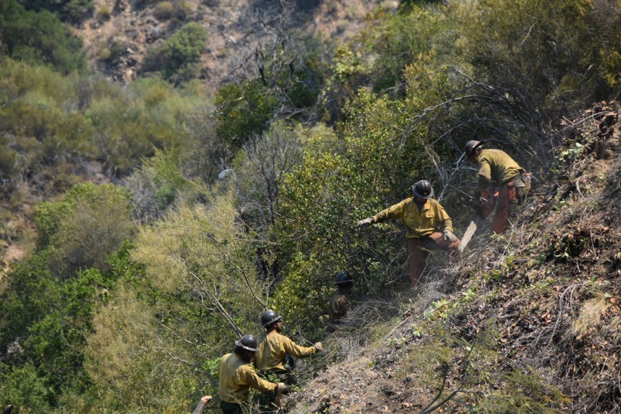 Crews work in the area of Willow fire in Los Padres National Forest on June 21, 2021. (Los Padres National Forest)