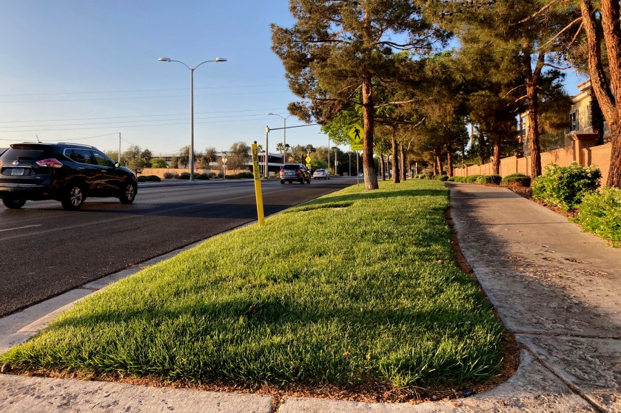 In this April 9, 2021, file photo, traffic passes a grassy landscape on Green Valley Parkway in suburban Henderson, Nev. Nevada Governor Steve Sisolak signed legislation on Friday, June 4 to make the state the first in the nation to ban certain kinds of grass. The measure will ban water users in southern Nevada from planting decorative grass in an effort to conserve water. (AP Photo/Ken Ritter, File)