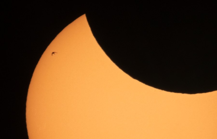 A bird is silhouetted against the sun as the moon blocks part of the sun during a partial solar eclipse in St. Petersburg, Russia, Thursday, June 10, 2021. (AP Photo/Dmitri Lovetsky)