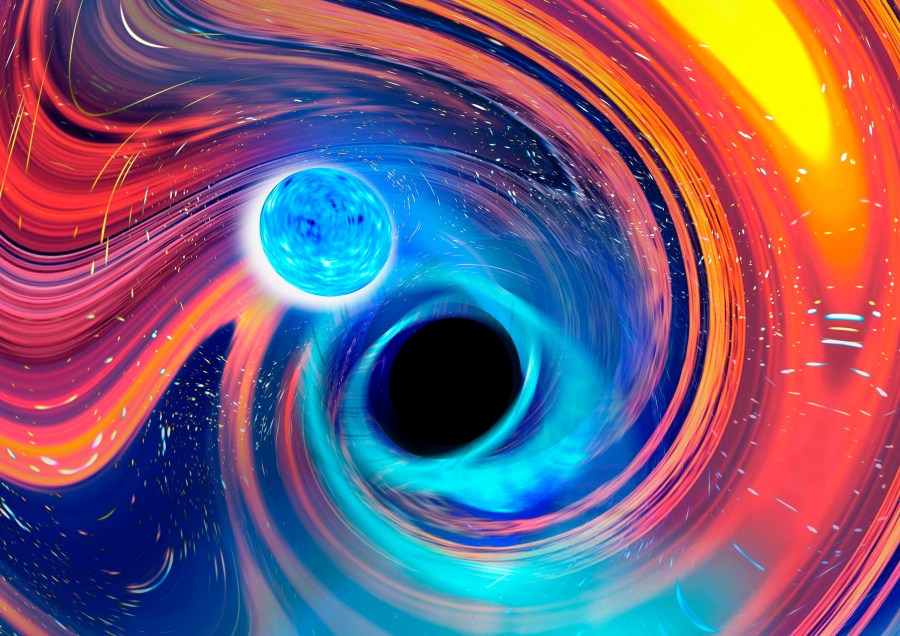 This illustration provided by Carl Knox depicts a black hole, center, swallowing a neutron star, upper left. The blue lines are gravitational waves, ripples in time and space, which is how astronomers detected the merger, and orange and red areas indicate parts of the neutron star being stripped away. In a report released on Tuesday, June 29, 2021, astronomers say they have witnessed a black hole swallowing a neutron star, the most dense object in the universe, _ all in a split-second gulp. (Carl Knox/OzGrav/Swinburne University Australia via AP)