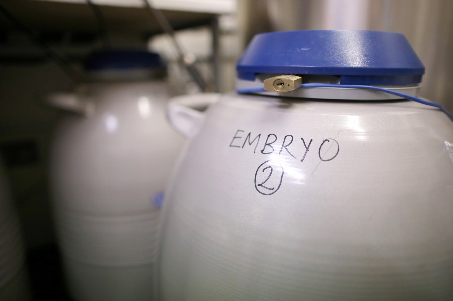 Embryos are frozen and stored in the cryo store at Birmingham Women's Hospital fertility clinic on Jan. 22, 2015 in Birmingham, England. (Christopher Furlong/Getty Images)