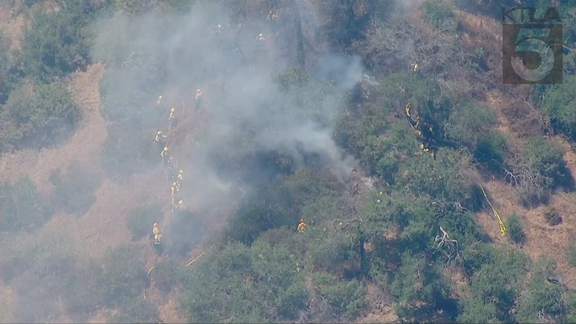 Firefighters responded to a small brush fire that erupted in Griffith Park on June 30, 2021. (KTLA)