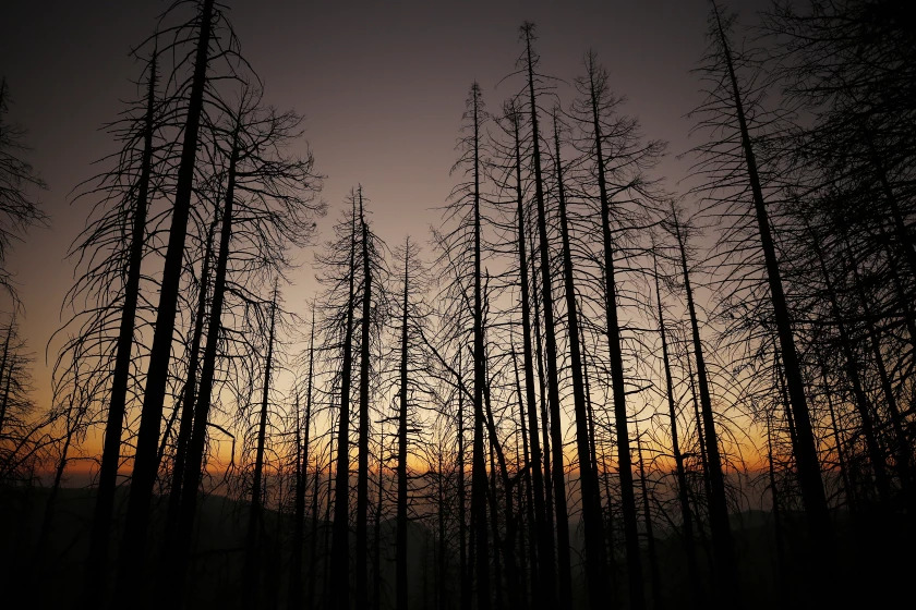 A sunset is obscured by smoke-filled skies near Alder Creek Grove where sequoia trees had grown on this Sierra Nevada ridge top for well over 500 years. (Al Seib/Los Angeles Times)