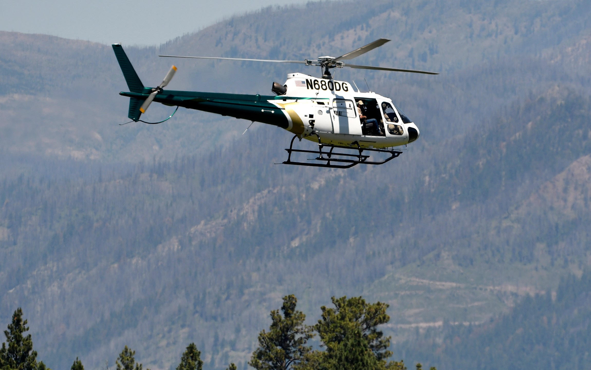 A helicopter from Montana Fish, Wildlife and Parks flies around the Ovando, Mont., area on July 6, 2201, in search of a bear that killed a camper early that morning. (Tom Bauer / The Missoulian via Associated Press)