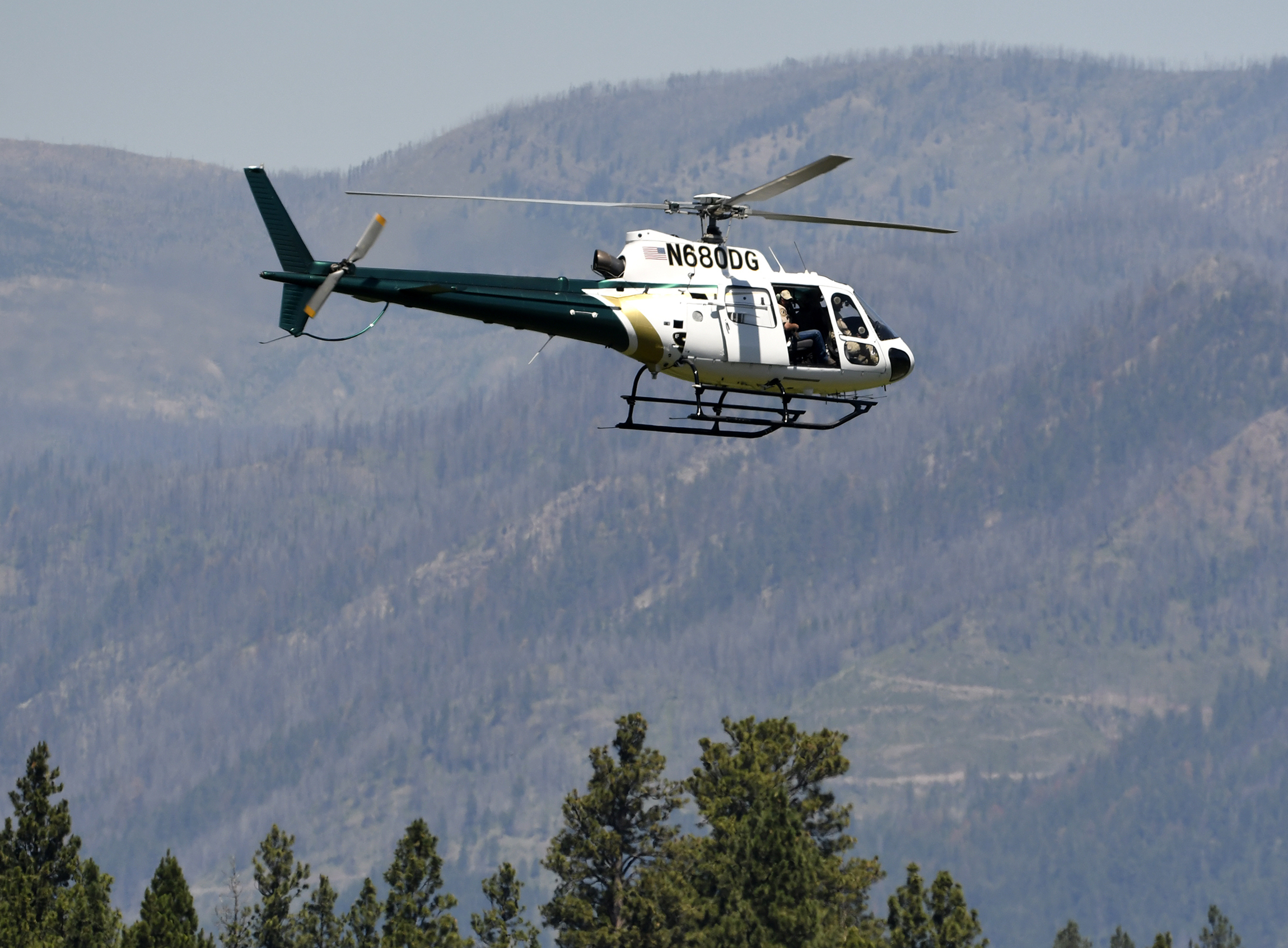 A helicopter from Montana Fish, Wildlife and Parks flies around the Ovando, Mont., area on July 6, 2201, in search of a bear that killed a camper early that morning. (Tom Bauer / The Missoulian via Associated Press)