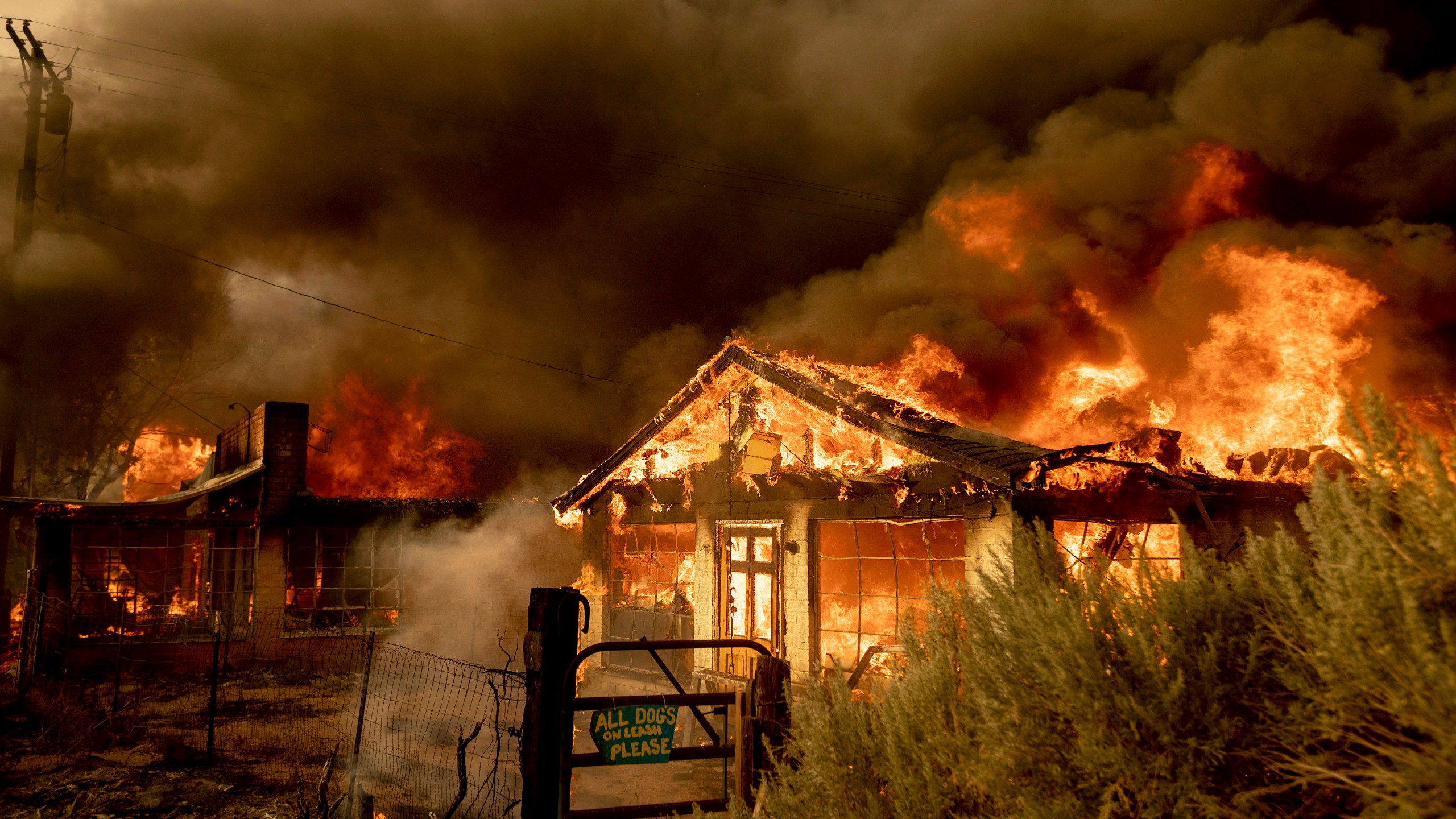 Fire consumes homes as the Sugar Fire, part of the Beckwourth Complex Fire, tears through Doyle, Calif., on Saturday, July 10, 2021. Pushed by heavy winds, the fire came out of the hills and destroyed multiple residences in central Doyle. (AP Photo/Noah Berger)