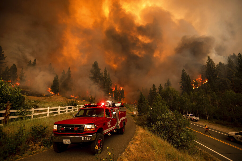 Firefighters battle the Tamarack Fire in the Markleeville community of Alpine County, Calif., on Saturday, July 17, 2021. (AP Photo/Noah Berger)