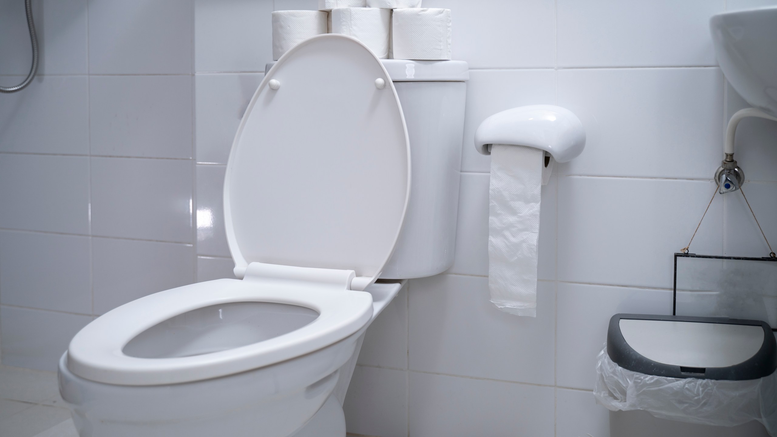 A toilet is seen in a file photo. (iStock/Getty Images Plus)