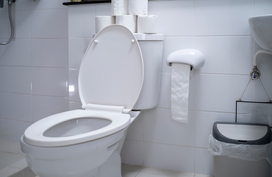 A toilet is seen in a file photo. (iStock/Getty Images Plus)