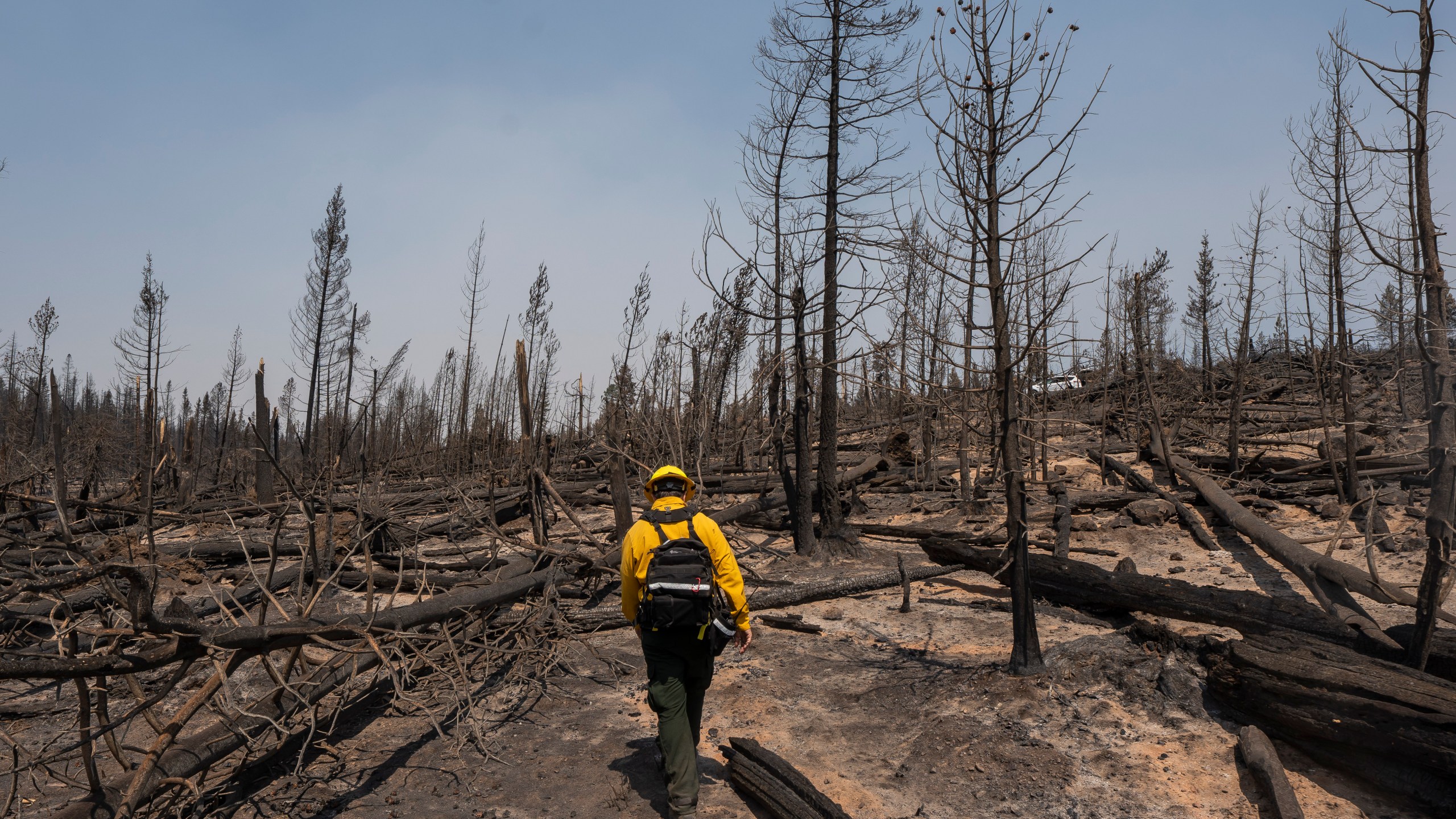 Marcus Kauffman, public information officer working on the Bootleg Fire, walks through burn damage July 23, 2021, near Paisley, Ore. (AP Photo/Nathan Howard)