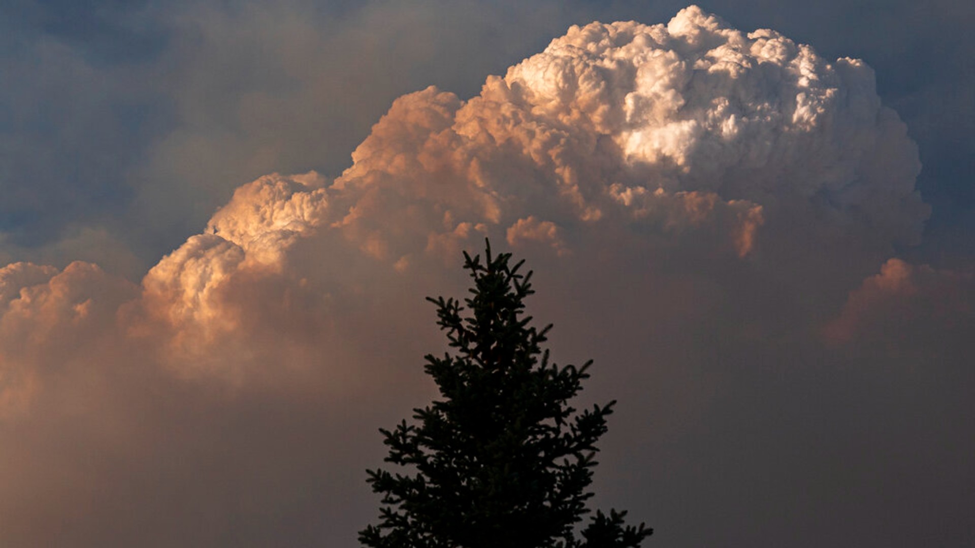 The Bootleg Fire smoke plume grows over a single tree on Monday, July, 12, 2021 near Bly, Ore. (AP Photo/Nathan Howard)