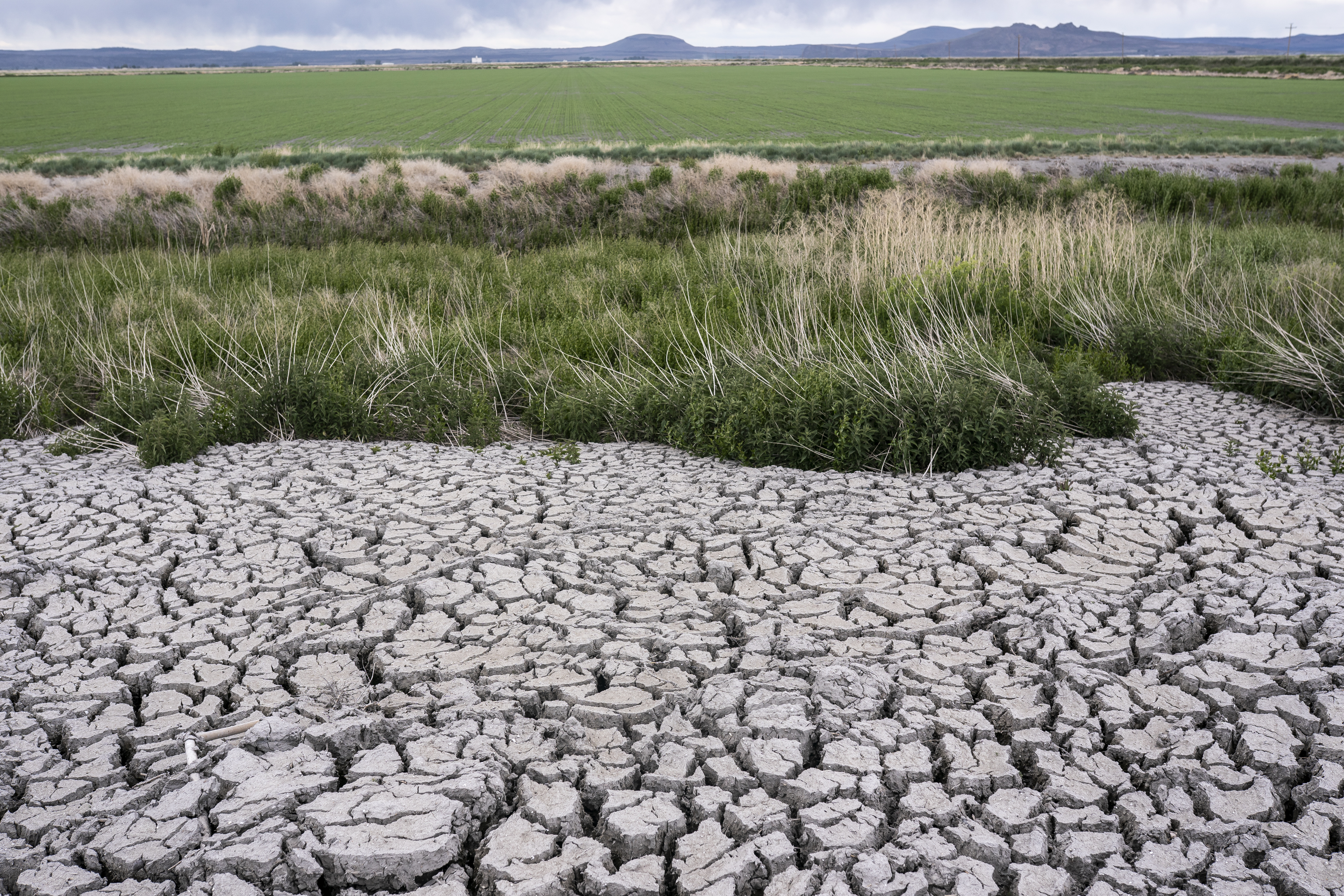 In this June 9, 2021, file photo, the dried, cracked earth of a former wetland that was drained in an effort to prevent an outbreak of avian botulism which occurs in Tulelake, Calif. (AP Photo/Nathan Howard, File)