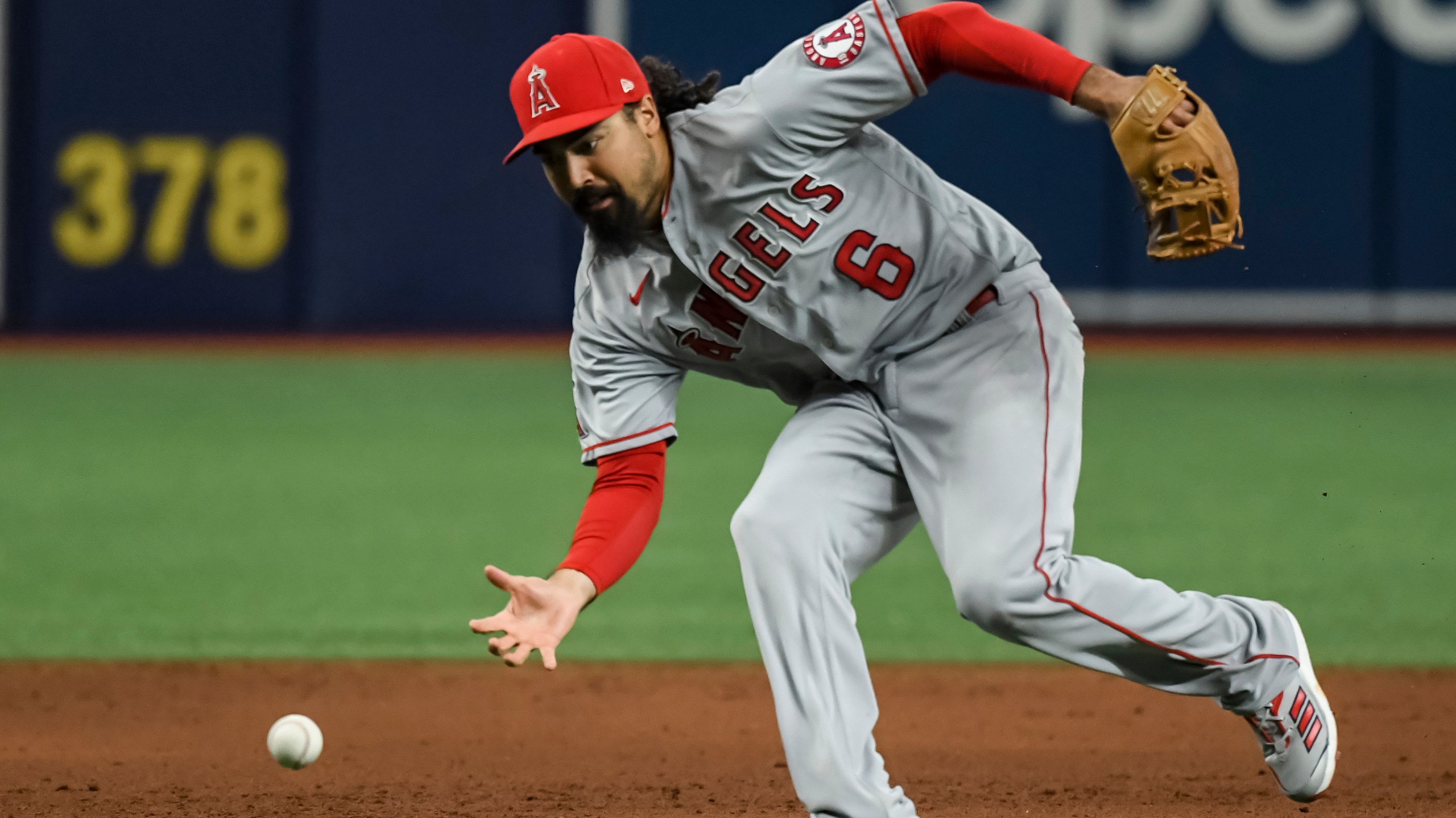 In this June 25, 2021, file photo, Los Angeles Angels third baseman Anthony Rendon reaches for a ball that went for an infield base hit by Tampa Bay Rays ' Kevin Kiermaier during the sixth inning of a game in St. Petersburg, Fla. (Steve Nesius/Associated Press)