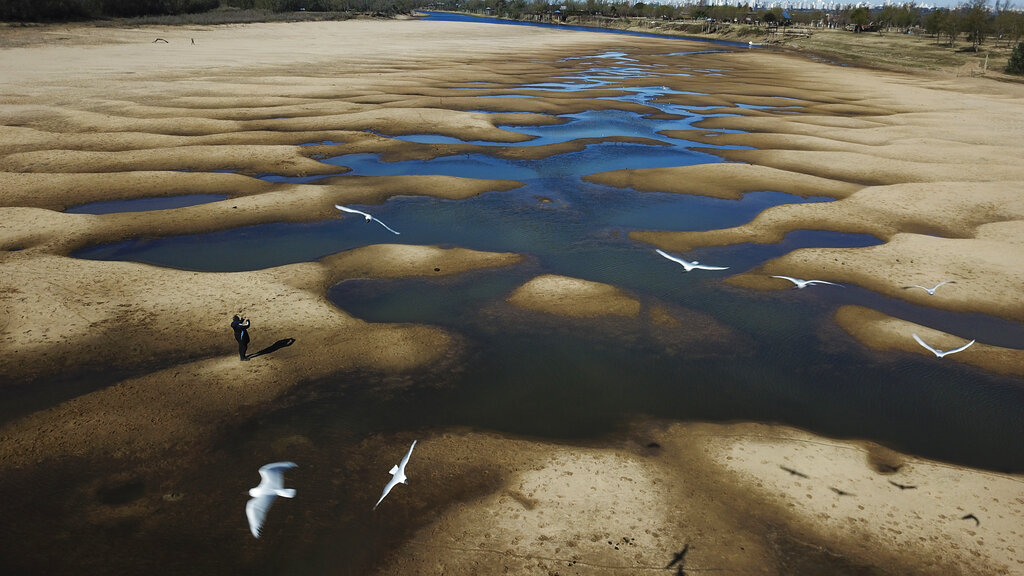 In this Thursday, July 29, 2021 file photo, birds fly over a man taking photos of the exposed riverbed of the Old Parana River, a tributary of the Parana River during a drought in Rosario, Argentina. (AP Photo/Victor Caivano, File)