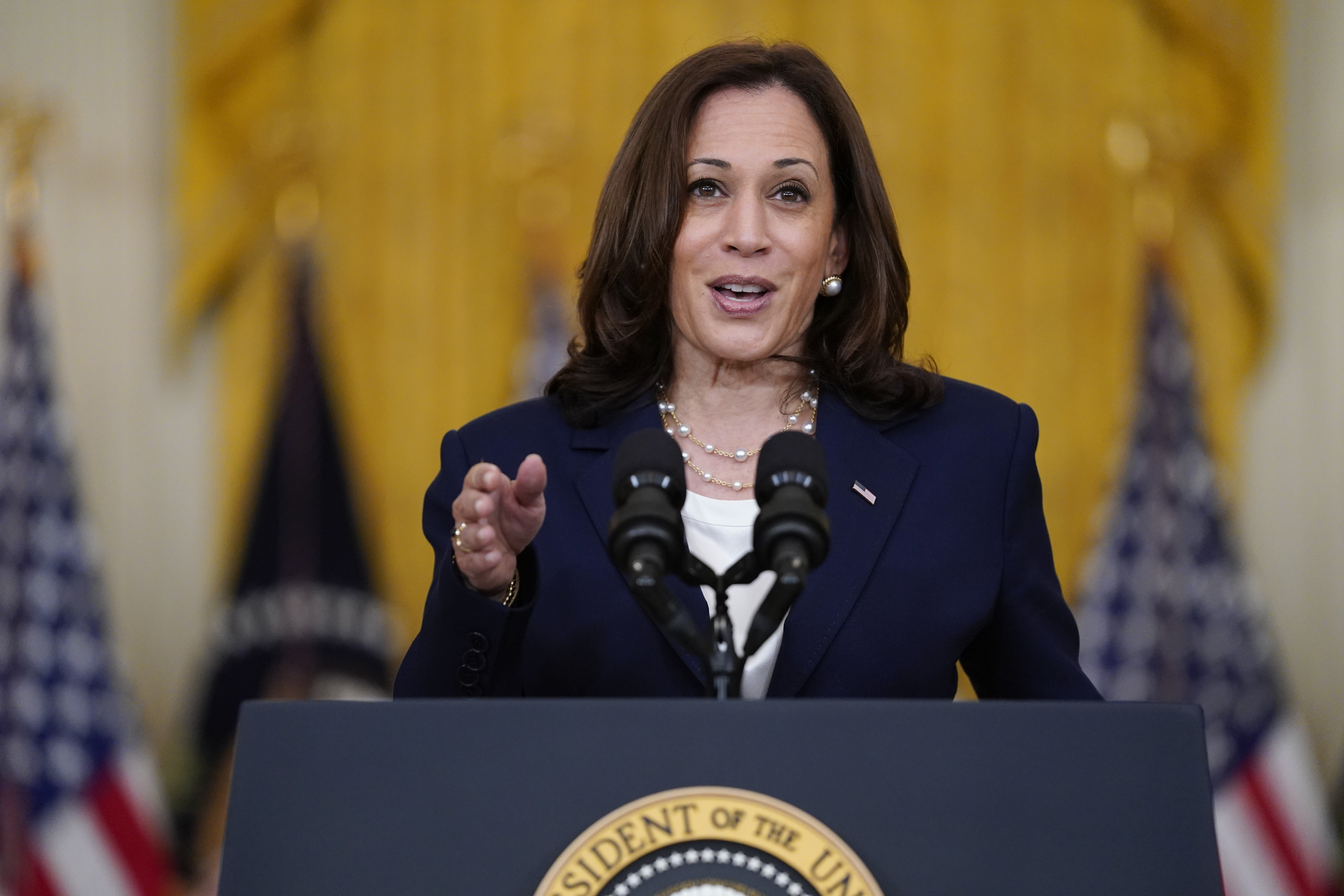 In this Aug. 10, 2021, file photo, Vice President Kamala Harris speaks from the East Room of the White House in Washington. (AP Photo/Evan Vucci, File)