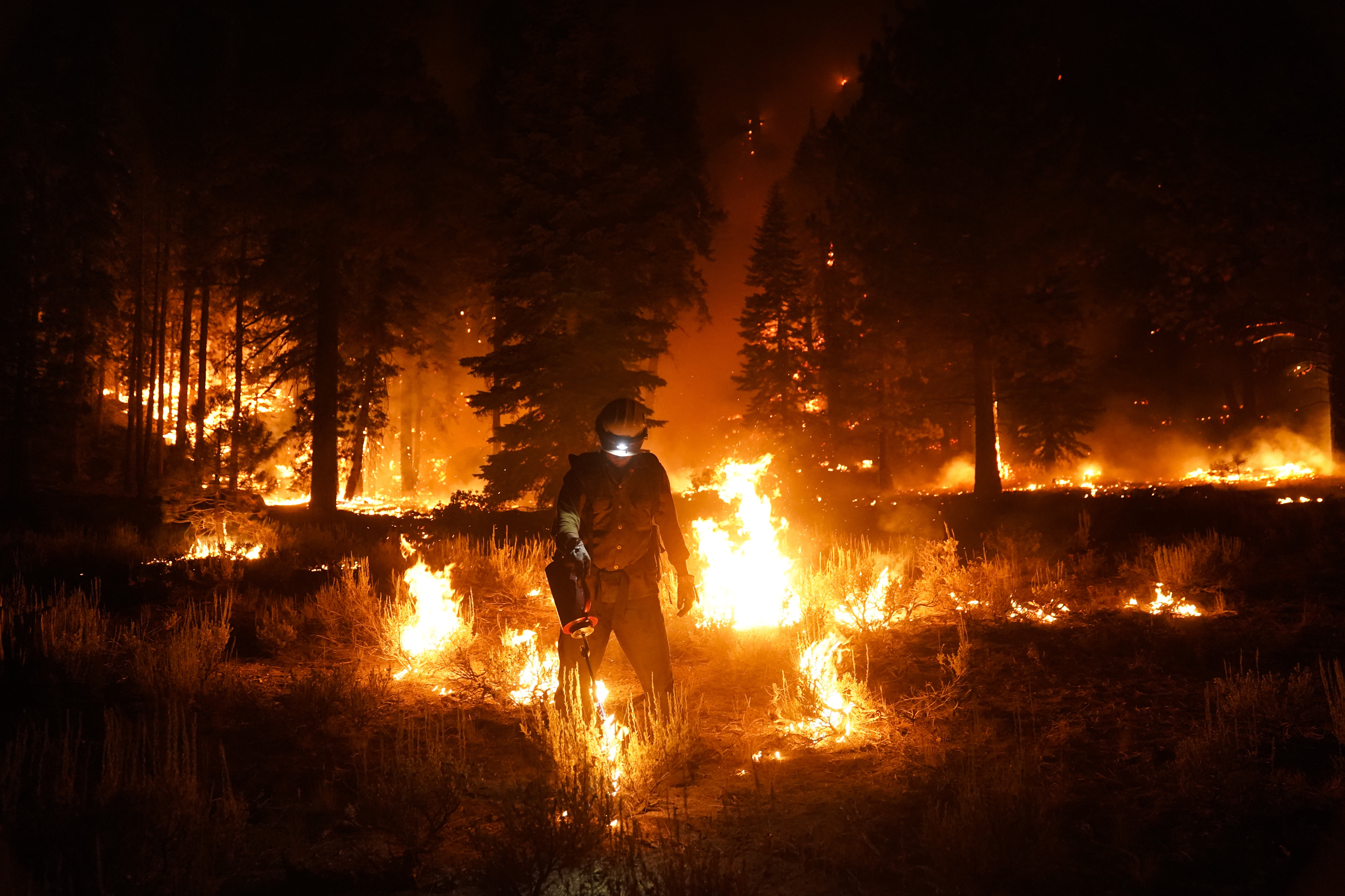 A firefighter lights a backfire to stop the Caldor Fire from spreading near South Lake Tahoe, Calif., Wednesday, Sept. 1, 2021. (AP Photo/Jae C. Hong)