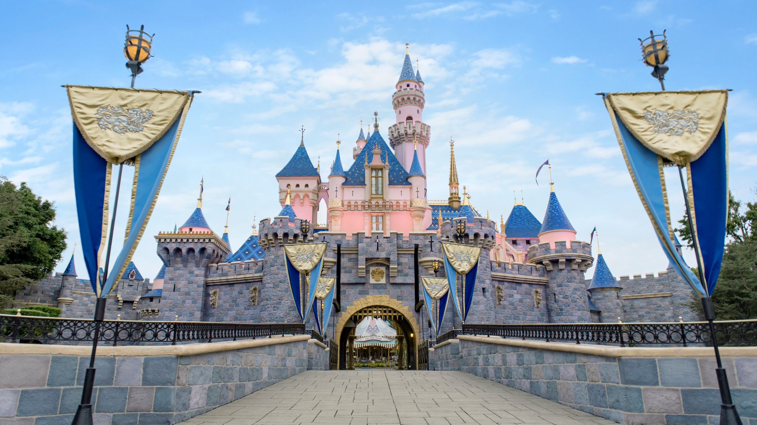 Disneyland castle