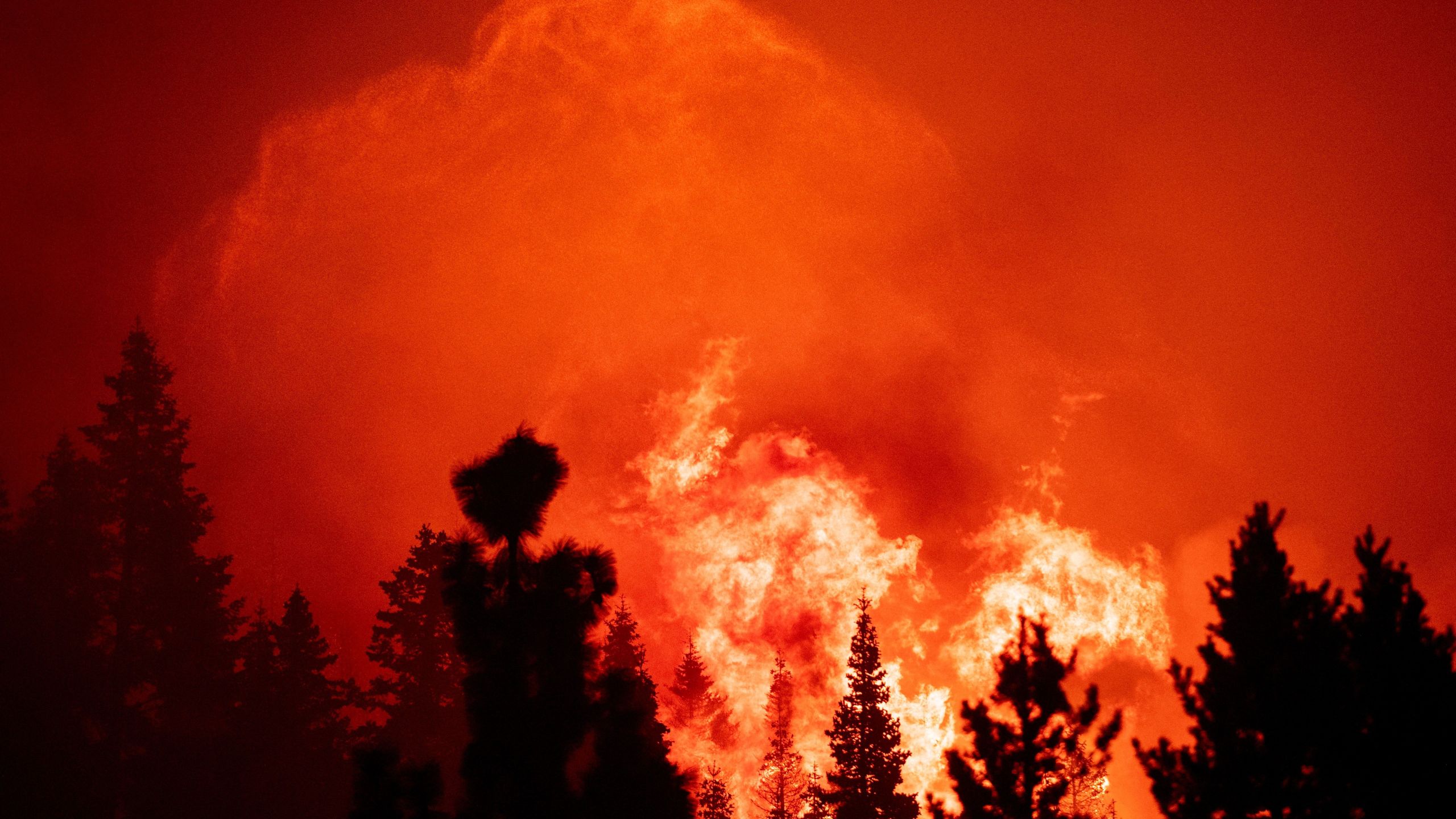 Flames and embers tower into the sky as firefighters work to protect homes from the Caldor fire in Twin Bridges, California on Aug. 29, 2021. (JOSH EDELSON/AFP via Getty Images)