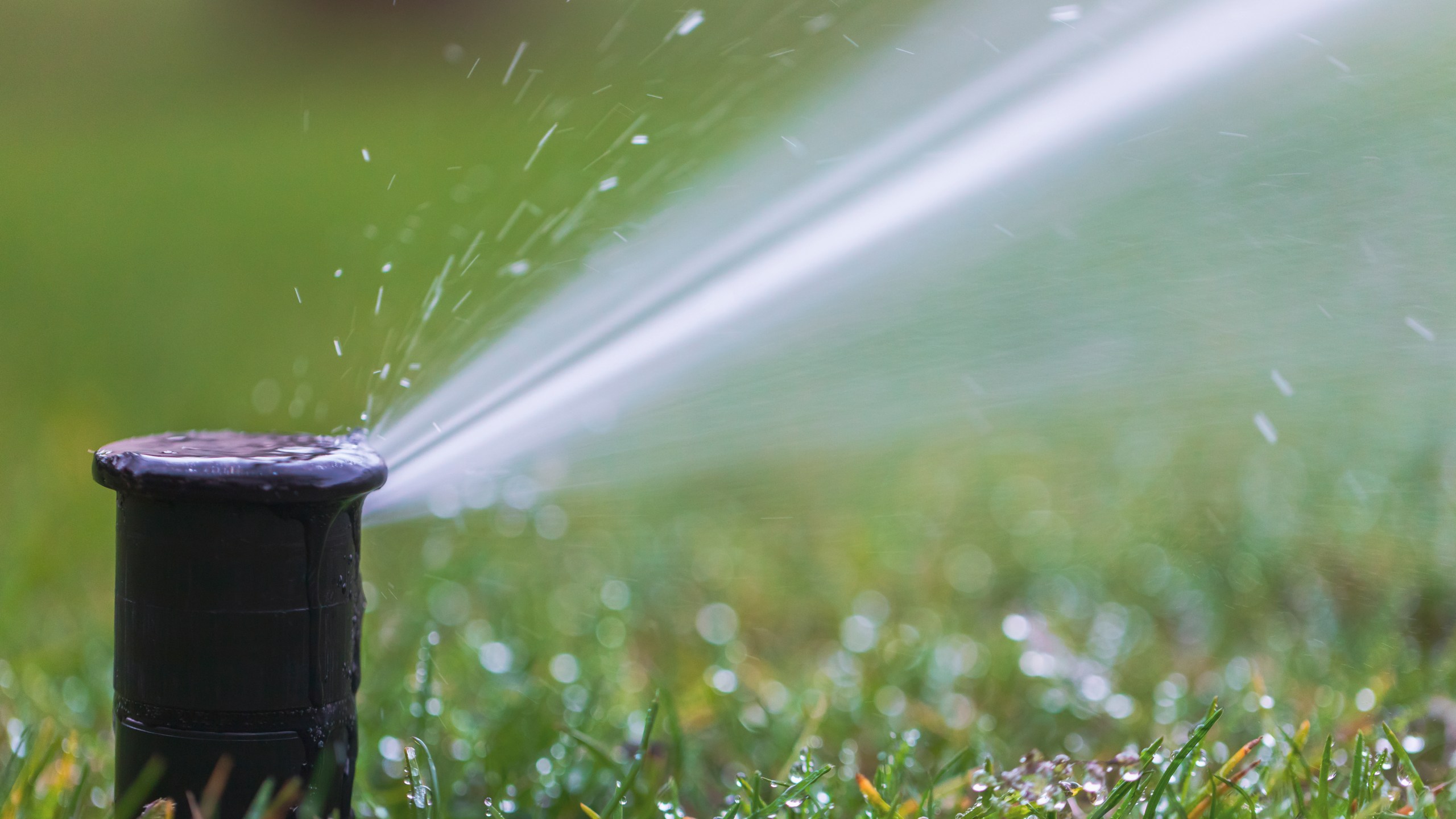 A water sprinkler is seen in this undated file photo. (Getty Images)