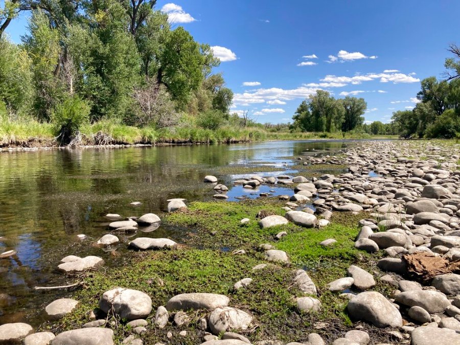 Exposed rocks and aquatic plants are seen alongside the North Platte River at Treasure Island in southern Wyoming, on Tuesday,Aug. 24, 2021. (AP Photo/Mead Gruver)