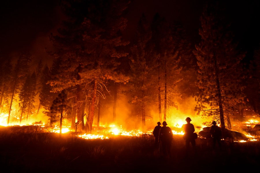 In this Sept. 1, 2021, file photo, a firefighter lights a backfire to stop the Caldor Fire from spreading near South Lake Tahoe, Calif. An unidentified firefighter has died of an illness while assigned to one of California's largest wildfires, authorities said Sunday, Sept. 5, 2021, marking the first death in a season that has seen blazes destroy thousands of buildings and force entire towns to flee. Edwin Zuniga with the California Department of Forestry and Fire Protection said he couldn't provide other details on the death. (AP Photo/Jae C. Hong, File)