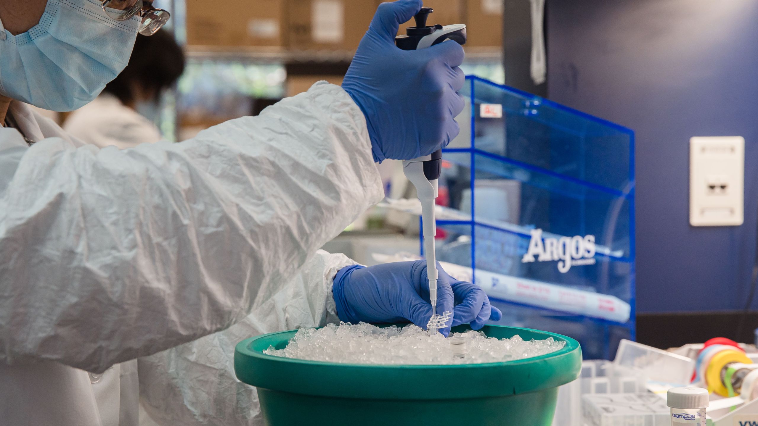 A senior scientist at a lab that focused on COVID-19 sets up a Polymerase Chain Reaction (PCR) at Sorrento Therapeutics in San Diego on May 22, 2020. (ARIANA DREHSLER/AFP via Getty Images)