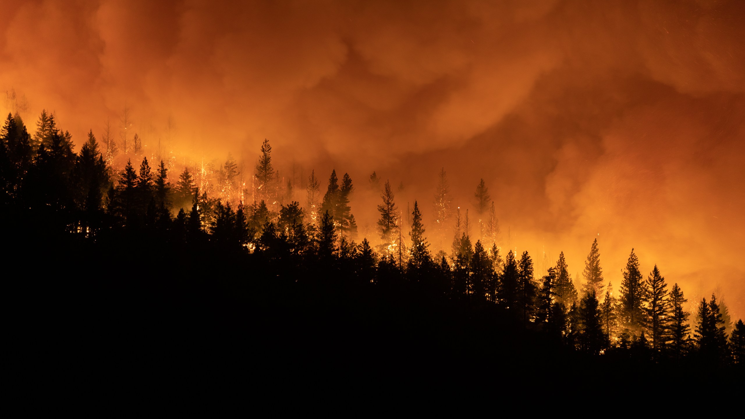 The Dixie Fire burns on a mountain ridge sending embers into the air on Aug. 5, 2021 in Greenville. (Trevor Bexon/Getty Images)