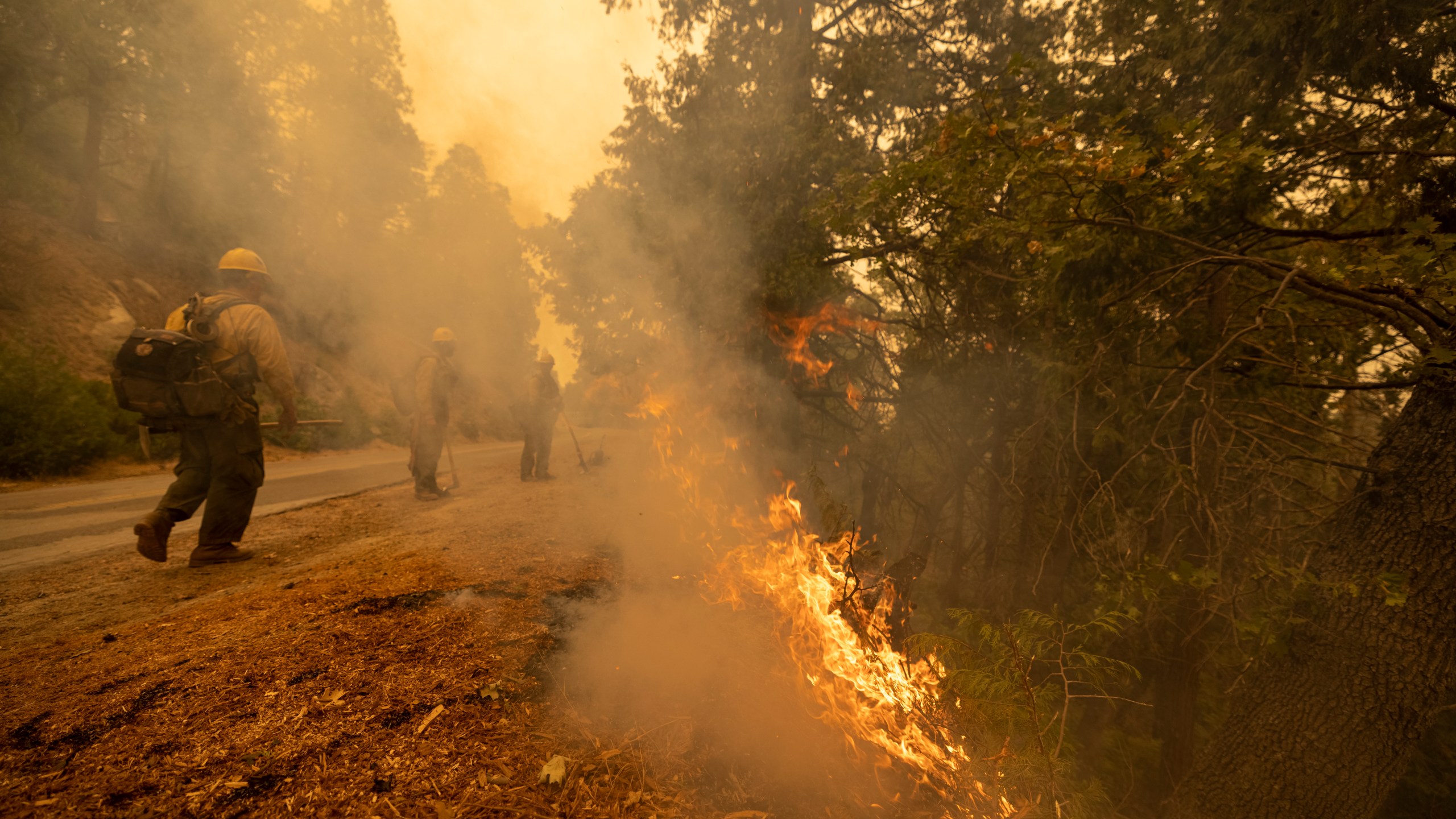 Firefighters tend to a backfire set to battle the Windy Fire on Sept. 25, 2021, south of California Hot Springs, California. (David McNew/Getty Images)