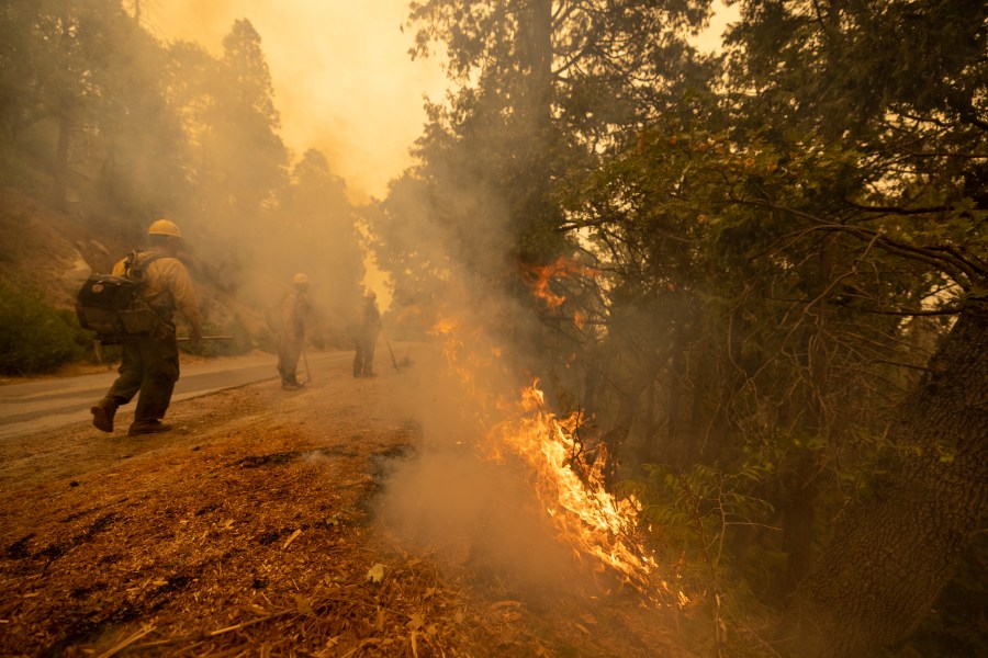 Firefighters tend to a backfire set to battle the Windy Fire on Sept. 25, 2021, south of California Hot Springs, California. (David McNew/Getty Images)