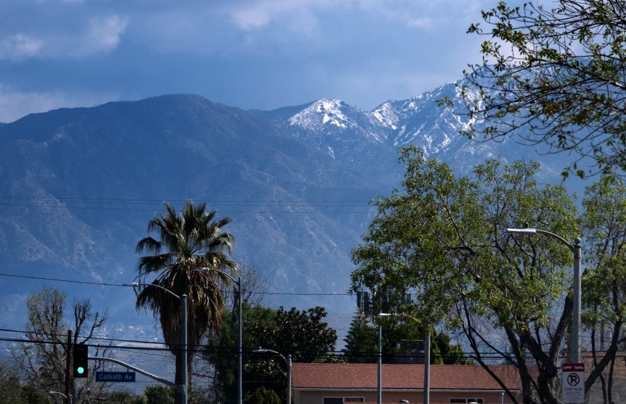 A lightly dusted snow capped hilltop is seen behind palm trees in the San Fernando Valley section of Los Angeles on March 12, 2021. (AP Photo/Richard Vogel)