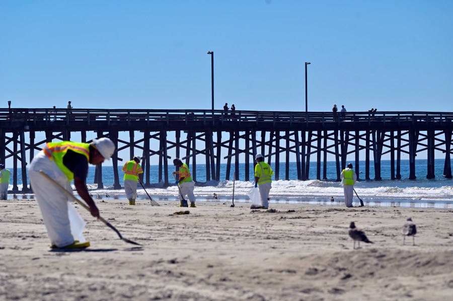 Workers clean oil from the sand, south of the pier in Newport Beach on Oct. 5, 2021. (Jeff Gritchen / The Orange County Register via Associated Press)