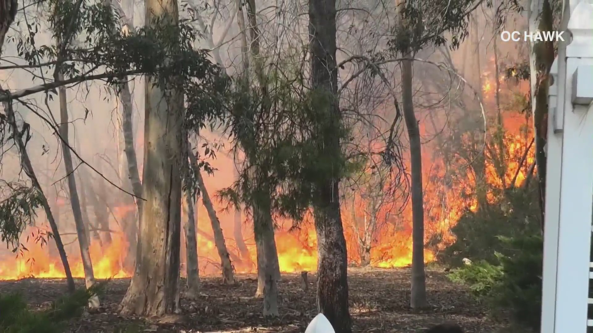 A 10-acre brush fire broke out in Brea on Oct. 3, 2021. (OC Hawk)