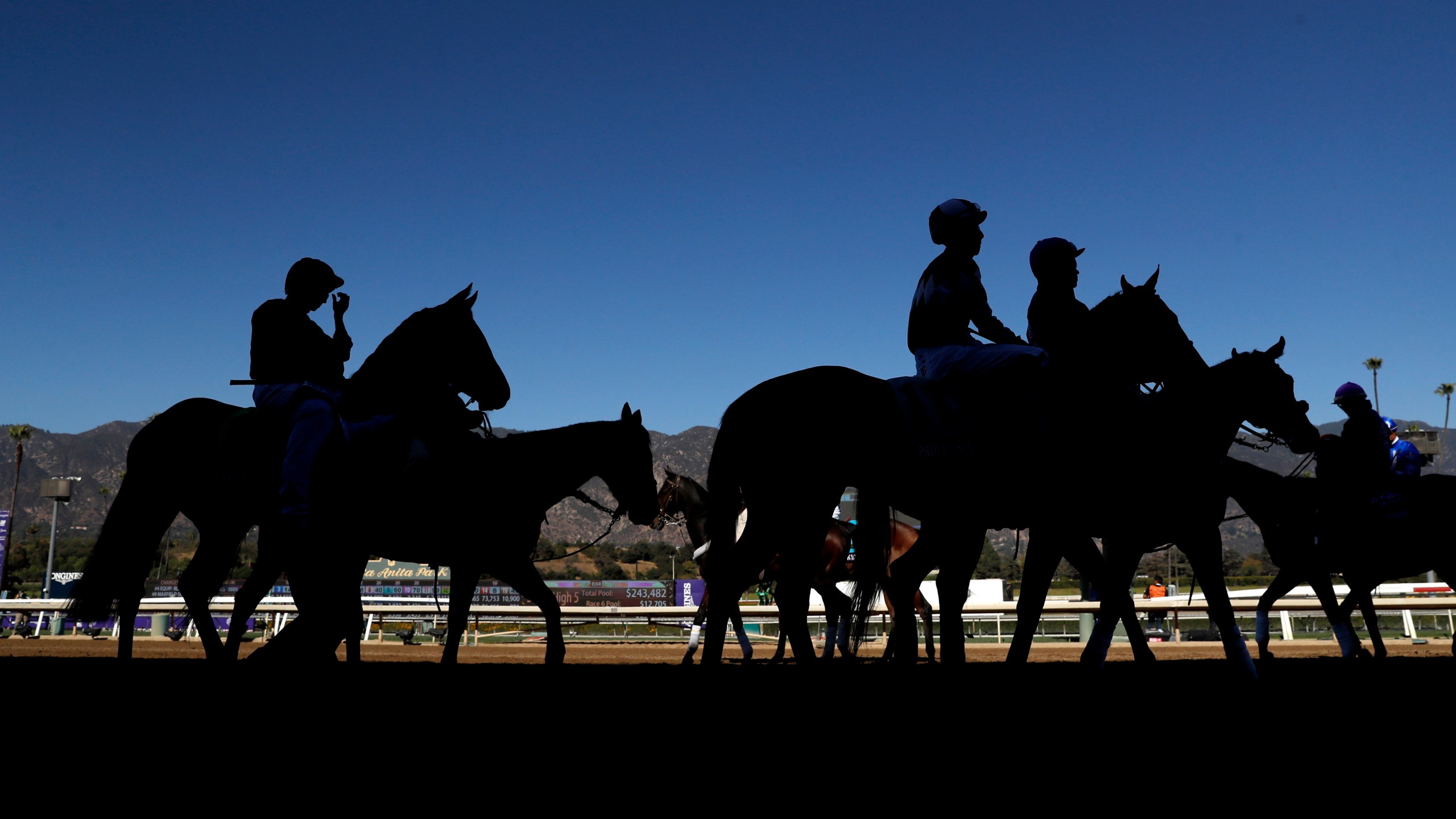 Jockeys enter the track prior to the Breeders Cup Juvenile Turf race of the Breeders Cup at Santa Anita Park in Arcadia on Nov. 1, 2019. (Sean M. Haffey / Getty Images)