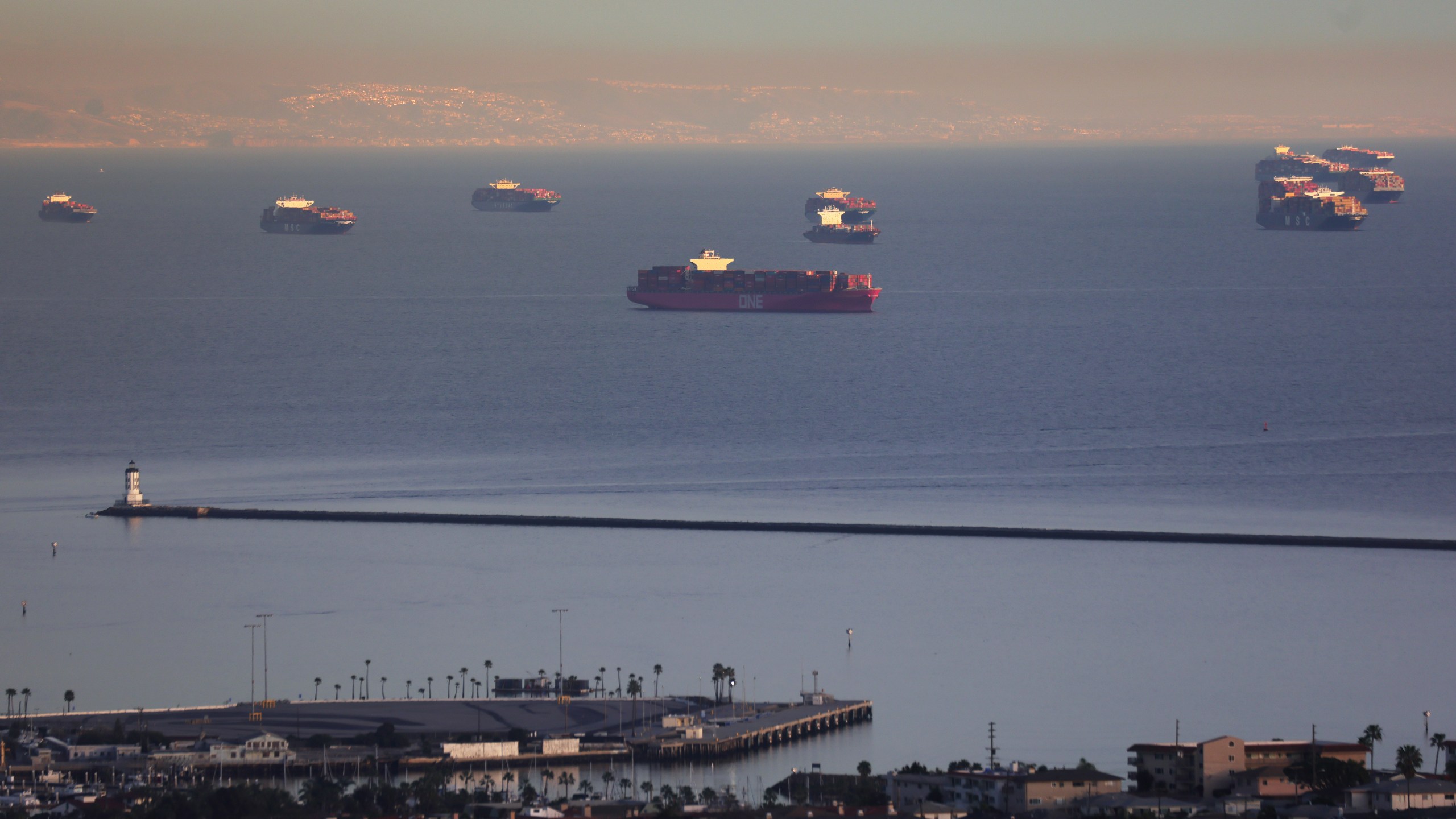 Container ships and tankers are anchored close to the ports of Los Angeles and Long Beach on Feb. 1, 2021 in San Pedro. (Mario Tama/Getty Images)