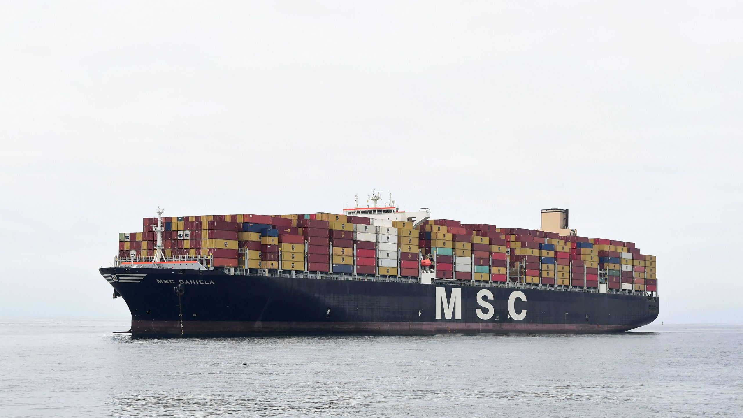 The Mediterranean Shipping Company cargo ship Daniela, filled with containers, waits offshore for entry to the Port of Los Angeles on Oct. 6, 2021 in San Pedro, California. A record number of cargo ships have been stuck in limbo off the Southern California coast waiting for entry to either the ports of Los Angeles or Long Beach. (Frederic J. Brown/AFP via Getty Images)