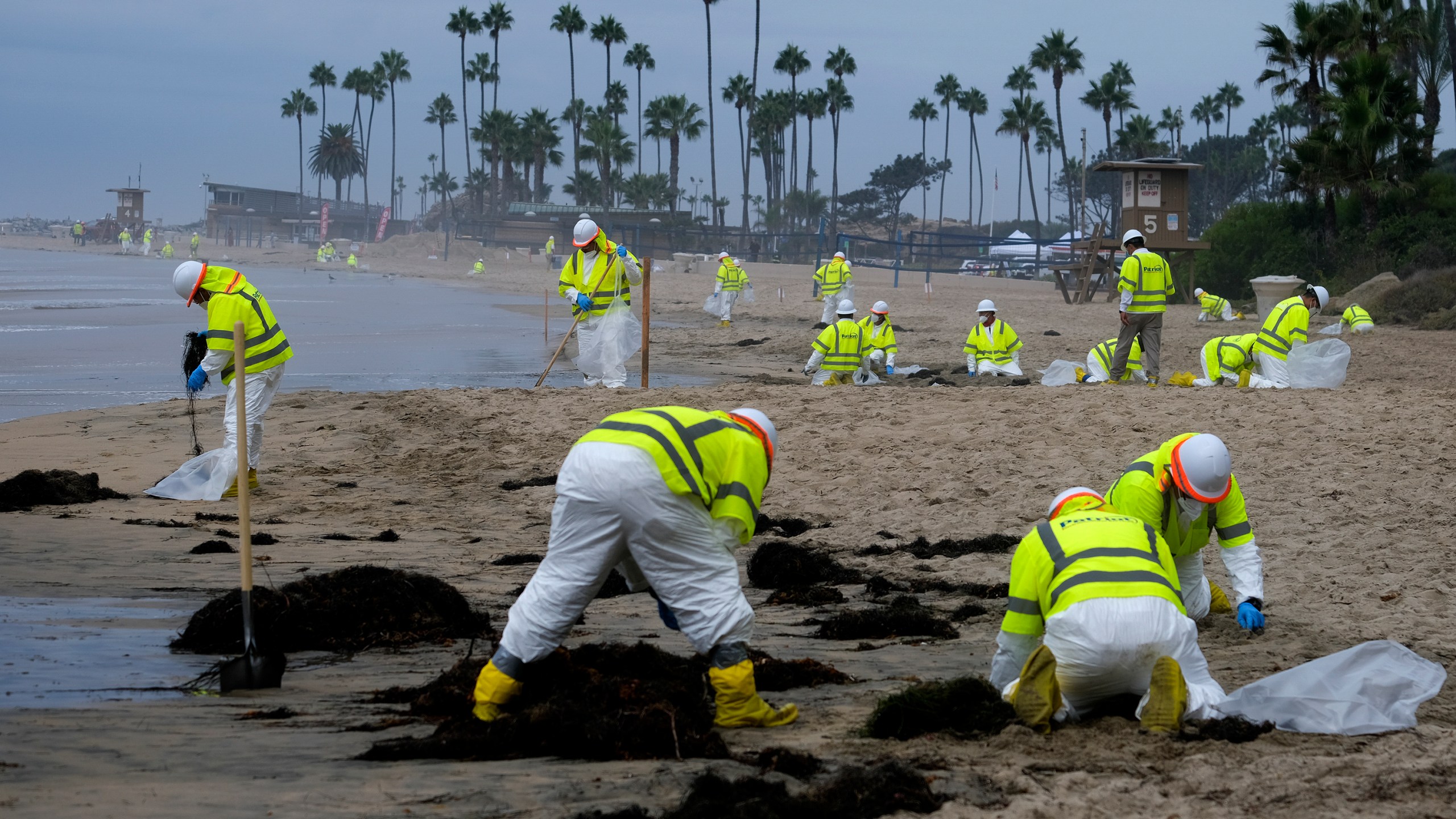 In this Oct. 7, 2021, file photo, workers in protective suits clean the contaminated beach in Corona Del Mar after an oil spill in Newport Beach, Calif. A group of environmental organizations is demanding the Biden administration suspend and cancel oil and gas leases in federal waters off the California coast after a recent crude oil spill. The Center for Biological Diversity and about three dozen organizations sent a petition Wednesday, Oct. 20, 2021, to the Department of the Interior, arguing it has the authority to end these leases. (AP Photo/Ringo H.W. Chiu)