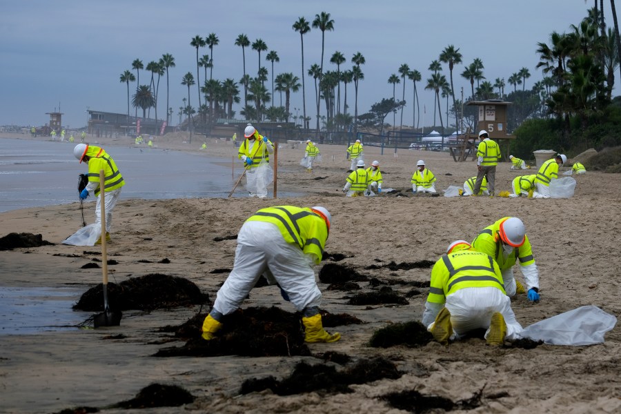 In this Oct. 7, 2021, file photo, workers in protective suits clean the contaminated beach in Corona Del Mar after an oil spill in Newport Beach, Calif. A group of environmental organizations is demanding the Biden administration suspend and cancel oil and gas leases in federal waters off the California coast after a recent crude oil spill. The Center for Biological Diversity and about three dozen organizations sent a petition Wednesday, Oct. 20, 2021, to the Department of the Interior, arguing it has the authority to end these leases. (AP Photo/Ringo H.W. Chiu)