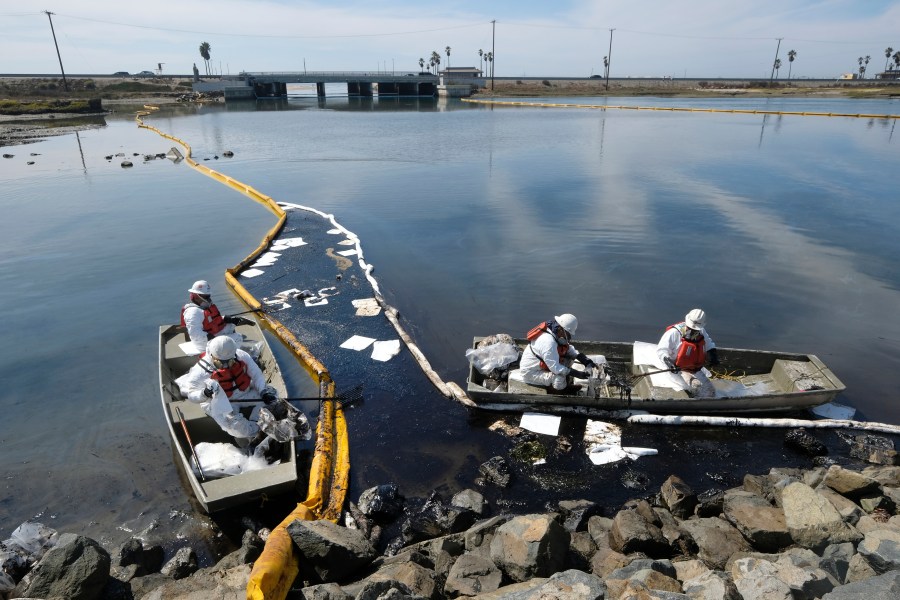 Cleanup contractors deploy skimmers and floating barriers known as booms to try to stop further oil crude incursion into the Wetlands Talbert Marsh in Huntington Beach, Calif., Sunday., Oct. 3, 2021. One of the largest oil spills in recent Southern California history fouled popular beaches and killed wildlife while crews scrambled Sunday to contain the crude before it spread further into protected wetlands. (AP Photo/Ringo H.W. Chiu)