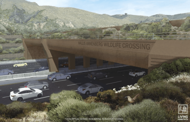 A rendering of the Wallis Annenberg Wildlife Crossing. (Living Habitats and National Wildlife Federation)