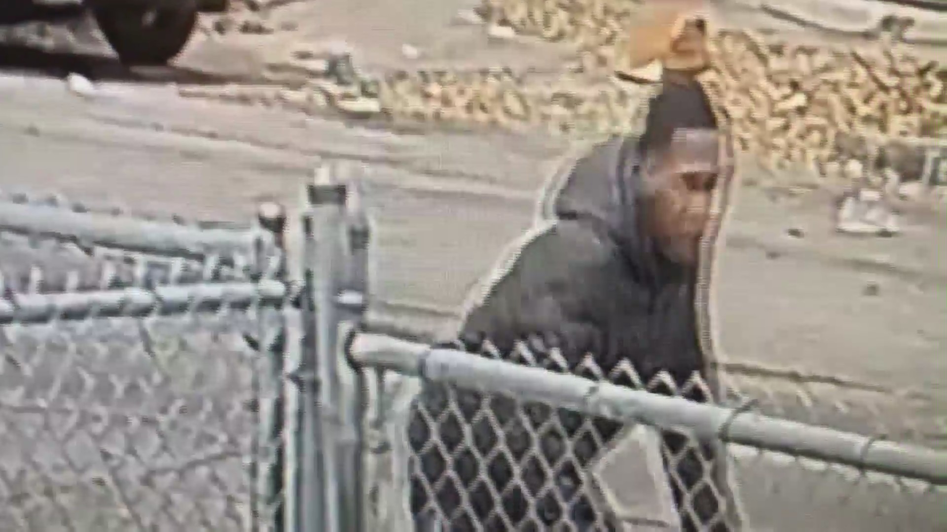 A man shown in this undated photo is believed to have assaulted and robbed an 18-year-old woman in South L.A. (KTLA)