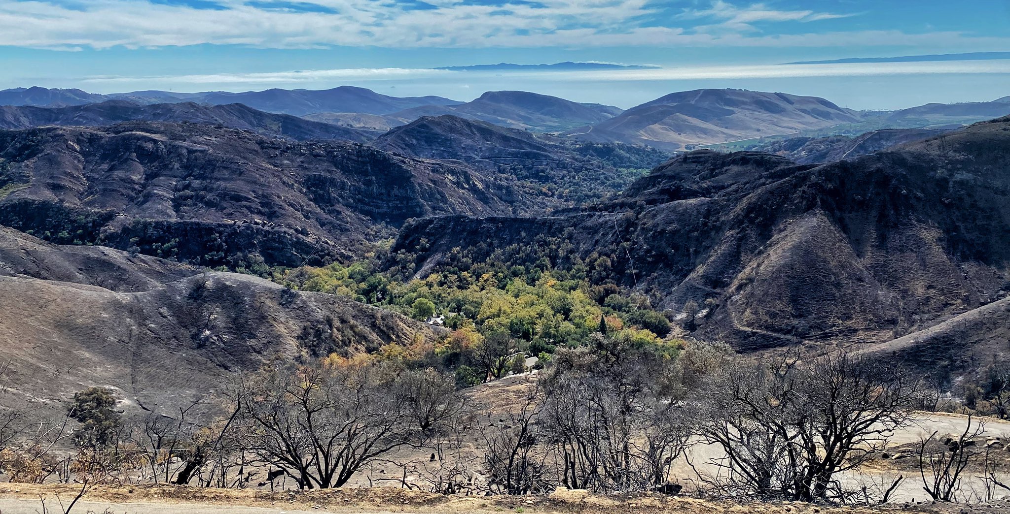 A photo of the Alisal Fire burn scar area shared by Santa Barbara fire officials on Oct. 22, 2021. (Santa Barbara County Fire Department)