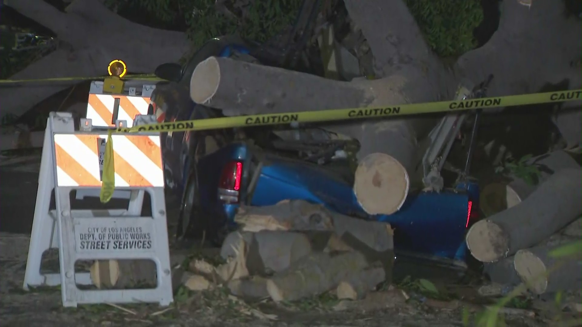 Winds toppled onto four vehicles in the Harvard Park neighborhood after gusty winds hit the region on Oct. 11, 2021. (KTLA)