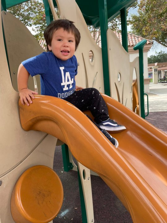 Twitter user @Veldalynn shared her Dodgers love with KTLA.