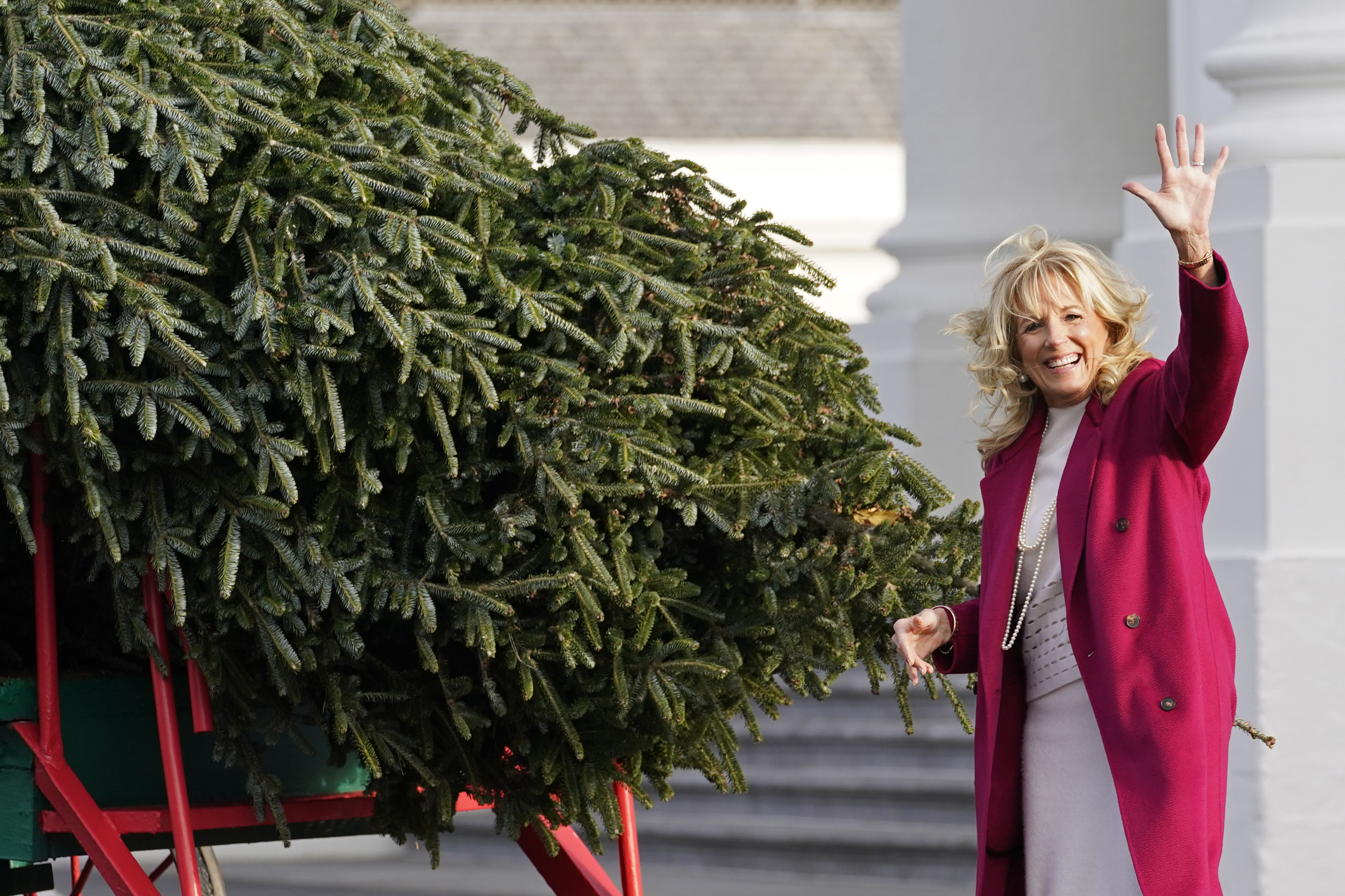 First lady Jill Biden waves to people watching as she looks over the official White House Christmas Tree, grown in North Carolina, as it arrives at the White House in Washington, Monday, Nov. 22, 2021. (AP Photo/Susan Walsh)