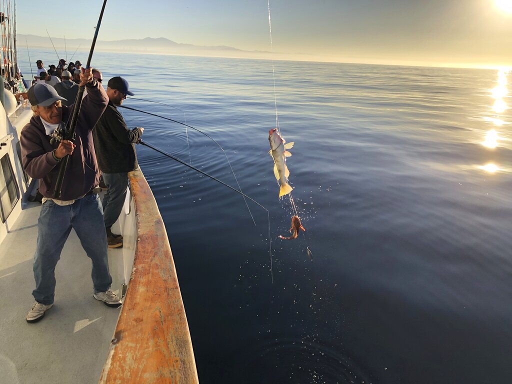 This photo provided by the California Department of Fish and Wildlife shows California state officials fishing to get samples they can test to determine if it is safe to resume fishing off the coast of California, Thursday, Oct. 28, 2021. (California Department of Fish and Wildlife via AP, File)