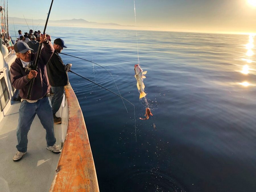 This photo provided by the California Department of Fish and Wildlife shows California state officials fishing to get samples they can test to determine if it is safe to resume fishing off the coast of California, Thursday, Oct. 28, 2021. (California Department of Fish and Wildlife via AP, File)